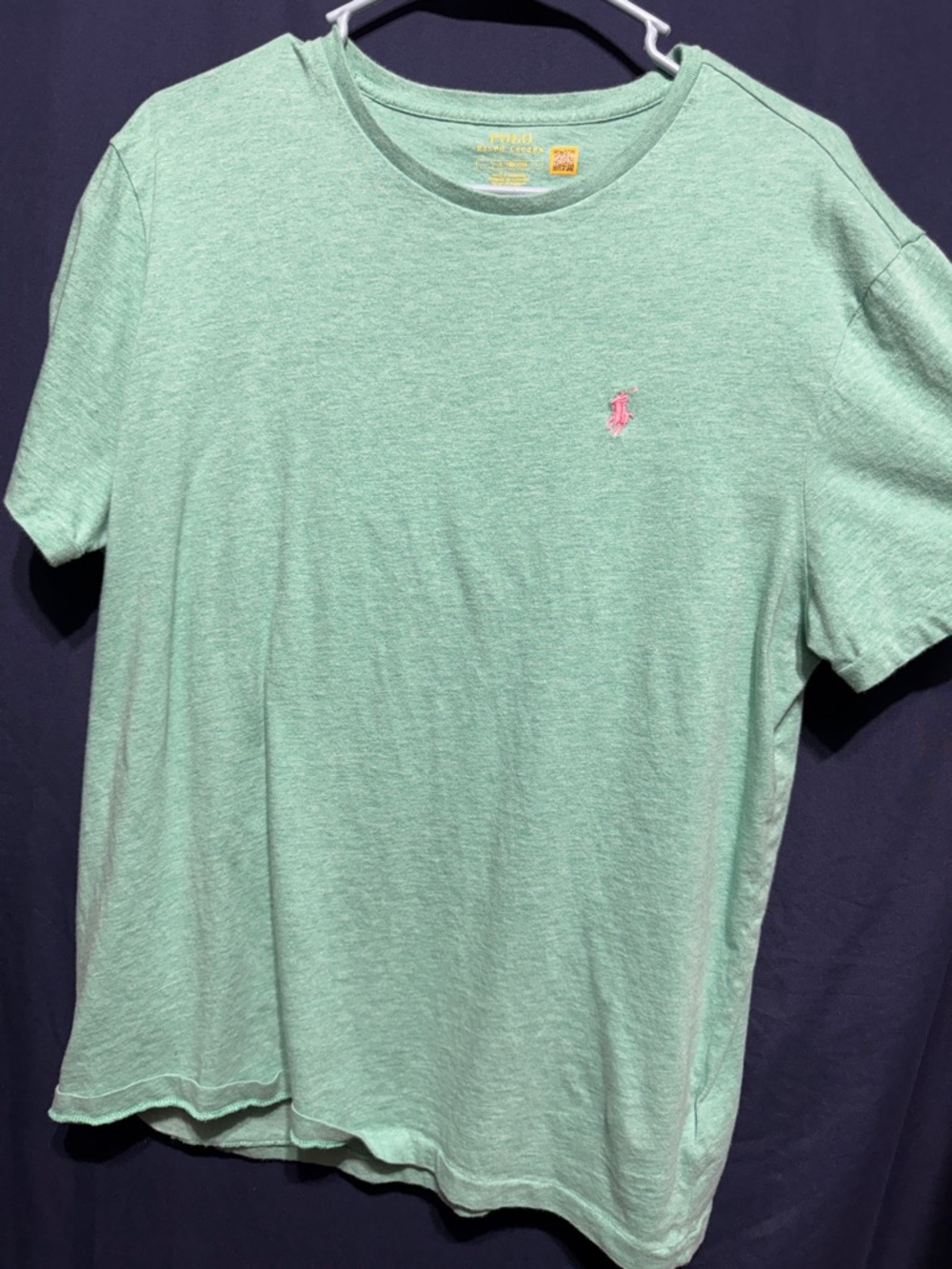 Polo by Ralph Lauren Mint Green Short-Sleeve Tee with Pink Pony